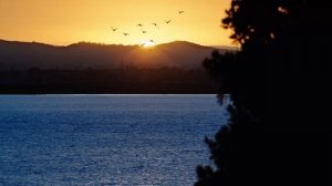 Музыка для сна / Спокойная музыка для глубокого сна