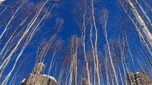 Скалы Надге Хабаровский край (Анюйские столбы)