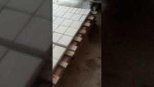 Гидрофобизация тротуарной плитки из бетона и известняка.