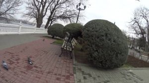 Приморский бульвар .