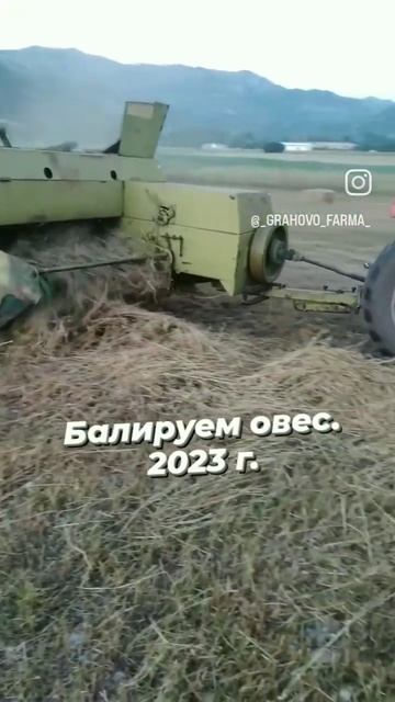 Сенокос 2023г. Убираем овес. agriculture tractor farming ферма уборочная овес пресподборщик