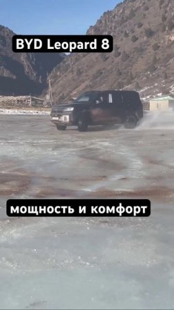 Leopard 8 гребет по льду всеми четырьмя 🔥