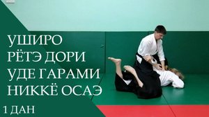 Уширо рётэ дори - уде гарами никкё осаэ