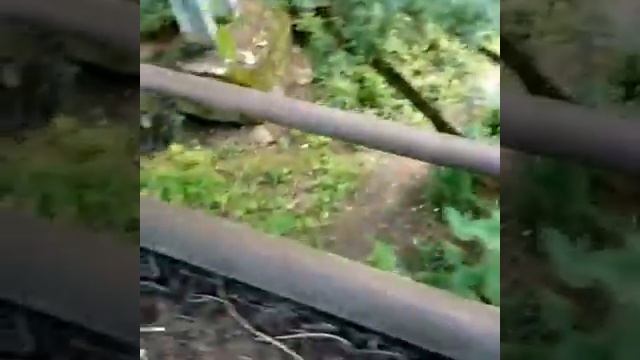 Дебри смотреть онлайн