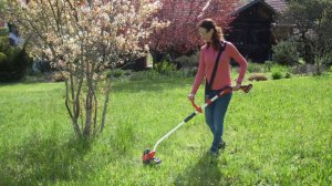 Einhell Аккумуляторный триммер GE-CT 18/33 Li