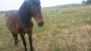 Влог: начало отпуска в Белоруссии...