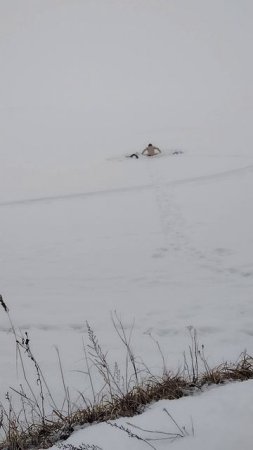 Моржевание, - омолаживает, более подробно в длином видео 01.03.25