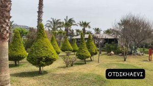 Sherwood Exclusive Lara 5* - свежий обзор, май 2021