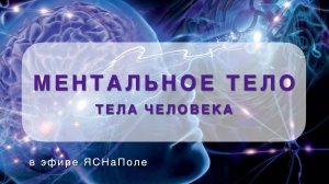 Тело человека. Ментальная оболочка
