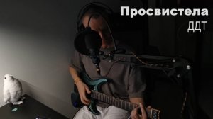 Просвистела (ДДТ)