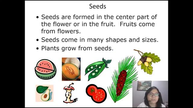 Virtual Storytelling_Batang Malino Ep. 1 The Life Cycle of a Plant