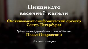 Й. Гайдн. Концерт для фортепиано Ре мажор, Виктор Николаев (фортепиано). 02/03/2025