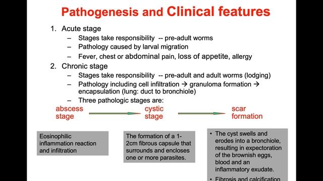 Paragonimus westermani смотреть онлайн