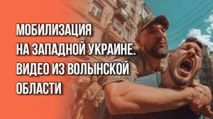 Вышел погулять с собакой, а попал в руки живодёров из ТЦК. Жуткое видео из Волынской области