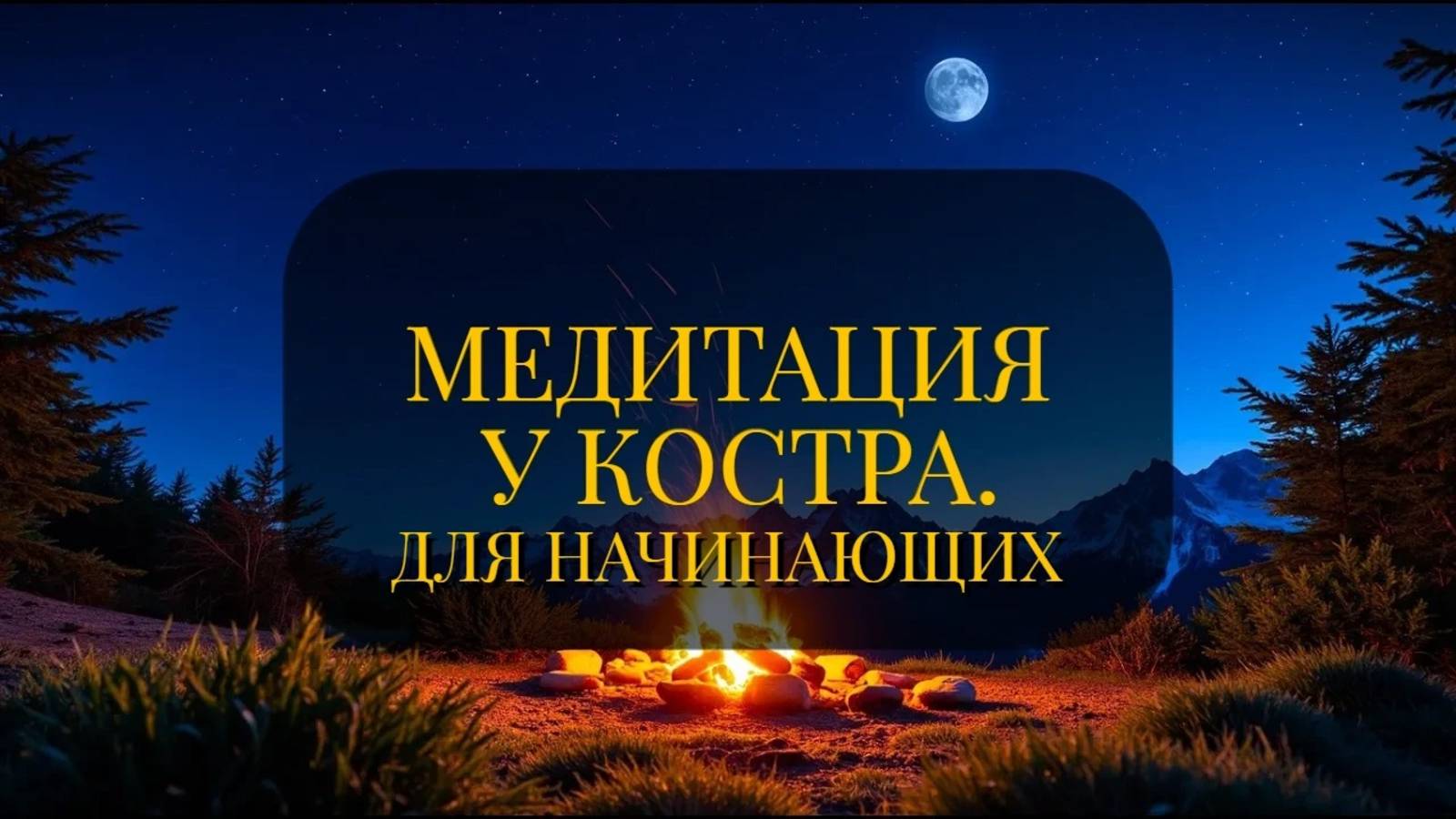 МЕДИТАЦИЯ "В НОЧНОМ ЛЕСУ"