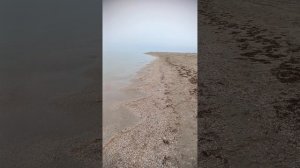 Песчаная коса.Картинитский залив