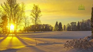 Стихи над миром. Стихотворения протоиерея Николая Гурьянова и иеромонаха Симеона Безкровного