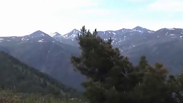 Мелис Нукси Кұсни қорлан қазақша ән