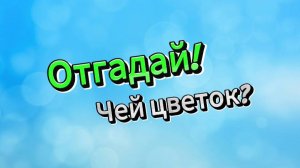 Отгадай! Чей цветок?