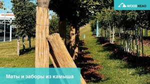 Маты из камыша Woodhead
Камыш Кубани