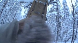 Охота на куницу,шикарный кун в ящике.