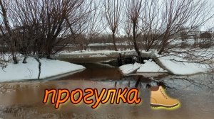 🥾 прогулка вдоль реки, самое начало весны .02-03-2025
