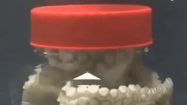 Можно ли заплатить осьминога в банке?))) смотреть онлайн