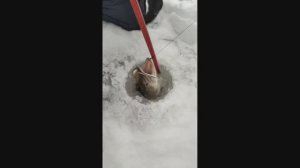 кия февраль 2025