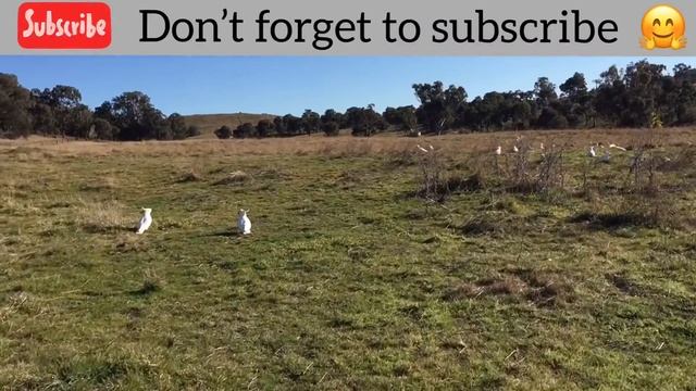 👋 Let’s Share Some LOVE for the Planet 🌏 смотреть онлайн