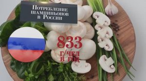 Перспективы грибного бизнеса в Саратовской области: инвестиционный фильм