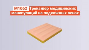 М1062 - Тренажер медицинских манипуляций на подкожных венах