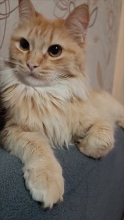 #Соня😽🔥