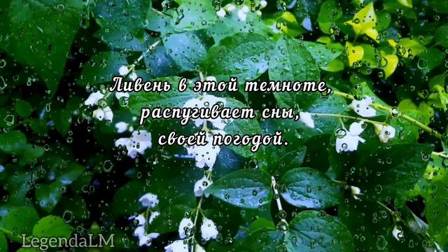 Занавес дождя. смотреть онлайн