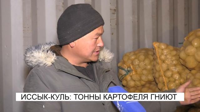 ОДИН КАРТОФЕЛЬ СТОИТ 3 ДОЛЛАРА\\NewTV смотреть онлайн