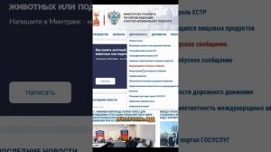 Специалист БДД. Как проверить аттестацию?