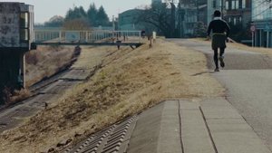 Тест объектива Sandmarc Telephoto 58mm + iPhone 15 pro