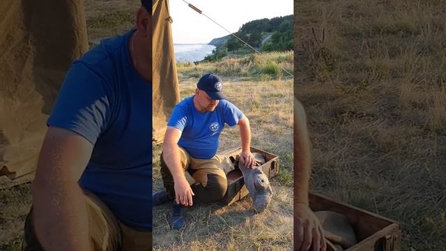 Вести с полей смотреть онлайн