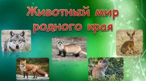 Животный мир родного края