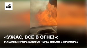 «Ужас, всё в огне!»: машины прорываются через пламя в Приморье