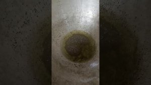 Как правильно обжарить семена горчицы