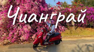 ЧИАНГРАЙ / Чайные плантации, Водопад, Храмы, Достопримечательности, За 2 дня, 2025