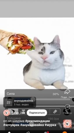 оп опа шаурма