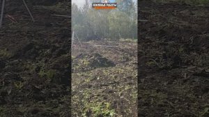 🔥 Осторожно! Бесплатный грунт = большие проблемы! #вск  #благоустройство