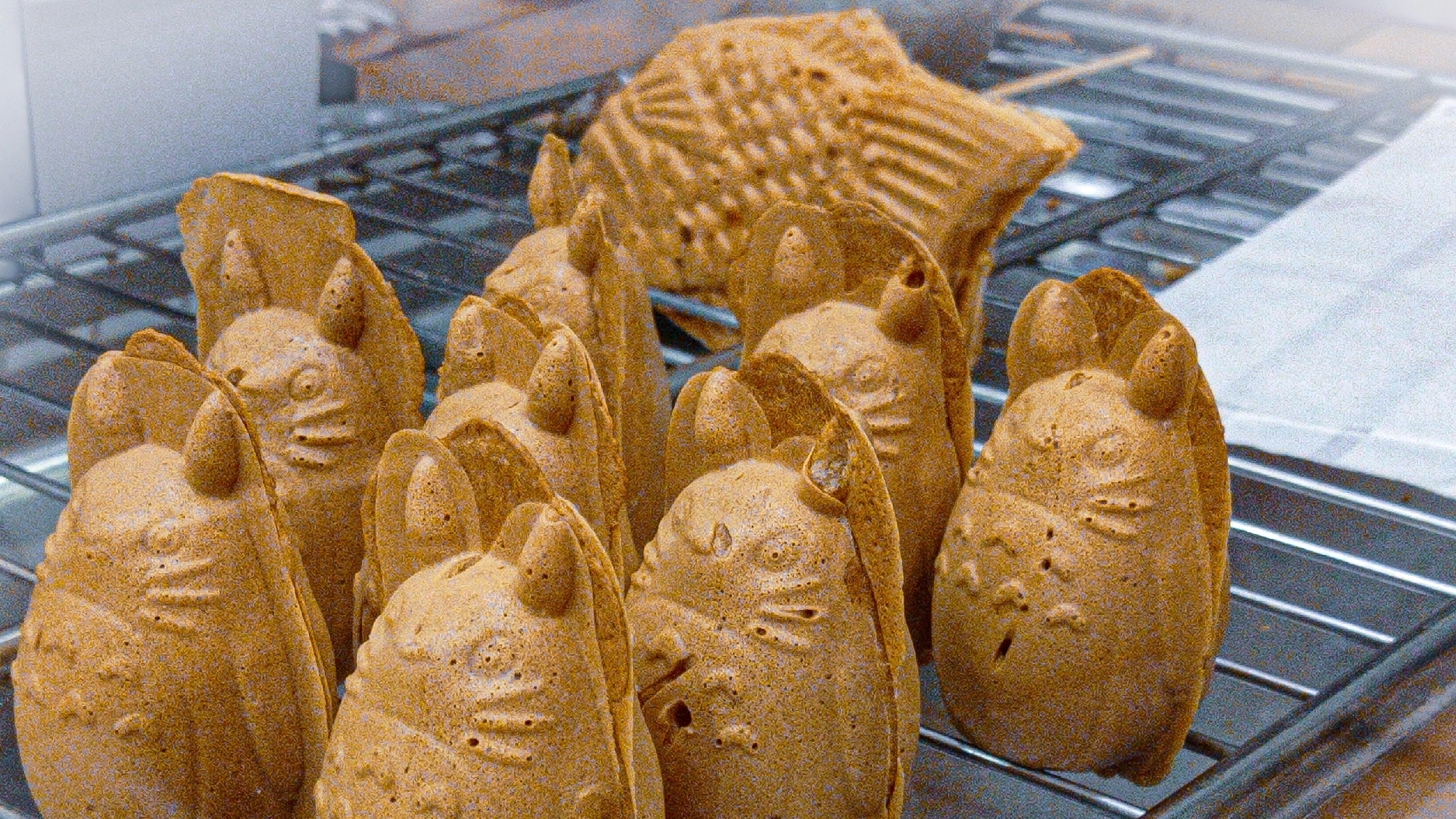 Тайяка на Марата смотреть онлайн