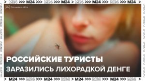 Десятки российских туристов заразились лихорадкой денге на Бали – СМИ - Москва 24