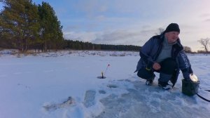 Первый лёд 2024-2025 жерлицы щука балансир в хорошей компании