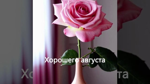 Розы — сделано в Clipchamp (1)
