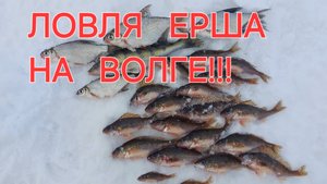 Охота на ЕРША.Весна 2025г.