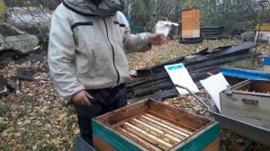Сколько рамок оставлять