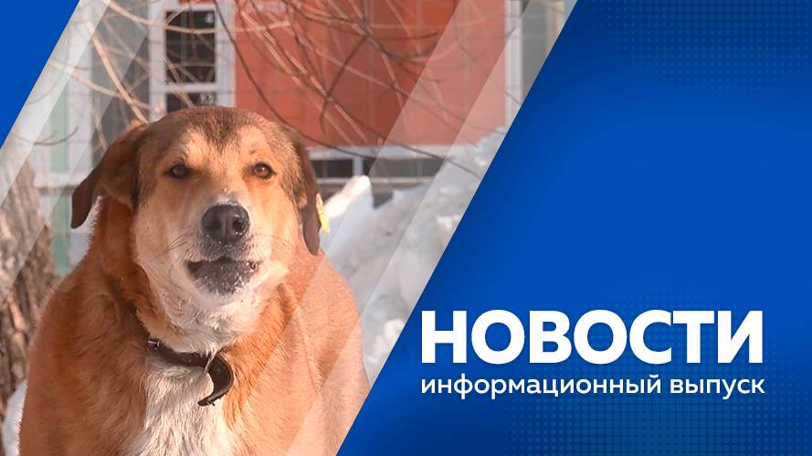 Новости 28.02.2025г